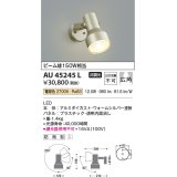 コイズミ照明　AU45245L　アウトドアスポットライト LED一体型 電球色 防雨型 ウォームシルバー