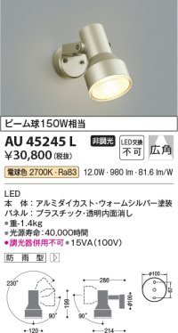 コイズミ照明　AU45245L　アウトドアスポットライト LED一体型 電球色 防雨型 ウォームシルバー