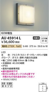 コイズミ照明　AU45914L　ポーチライト 壁 ブラケットライト LED一体型 電球色 防雨・防湿型 ダークグレーメタリック