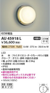 コイズミ照明　AU45918L　ポーチライト 壁 ブラケットライト LED一体型 電球色 防雨・防湿型 ダークグレーメタリック