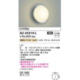 コイズミ照明　AU45919L　ポーチライト 壁 ブラケットライト LED一体型 電球色 防雨・防湿型 シルバーメタリック