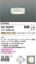 コイズミ照明　AU50499　アウトドアライト LED一体型 非調光 電球色 防雨・防湿型 直・壁取付 傾斜天井対応 ホワイト ￡