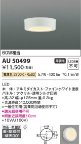 コイズミ照明　AU50499　アウトドアライト LED一体型 非調光 電球色 防雨・防湿型 直・壁取付 傾斜天井対応 ホワイト ￡