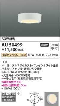 コイズミ照明　AU50499　アウトドアライト LED一体型 非調光 電球色 防雨・防湿型 直・壁取付 傾斜天井対応 ホワイト ￡