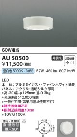 コイズミ照明　AU50500　アウトドアライト LED一体型 非調光 昼白色 防雨・防湿型 直・壁取付 傾斜天井対応 ホワイト