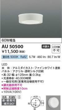 コイズミ照明　AU50500　アウトドアライト LED一体型 非調光 昼白色 防雨・防湿型 直・壁取付 傾斜天井対応 ホワイト