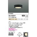 コイズミ照明　AU50501　アウトドアライト LED一体型 非調光 電球色 防雨・防湿型 直・壁取付 傾斜天井対応 ブラック