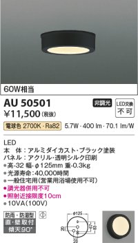 コイズミ照明　AU50501　アウトドアライト LED一体型 非調光 電球色 防雨・防湿型 直・壁取付 傾斜天井対応 ブラック