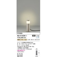 コイズミ照明　AU51436　エクステリア ガーデンライト 非調光 LEDランプ 電球色 防雨型 ウォームシルバー 受注生産品 [§]