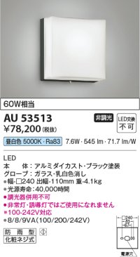 コイズミ照明　AU53513　階段通路用ブラケット LED一体型 非調光 防雨型 昼白色 シルバー