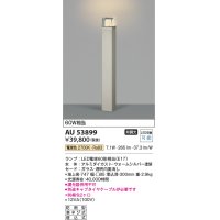 コイズミ照明　AU53899(2梱包)　アウトドアライト 非調光 LEDランプ 電球色 防雨型 ウォームシルバー