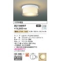 コイズミ照明　AU54097　アウトドアライト 非調光 LEDランプ 電球色 防雨・防湿型 直付・壁付取付 ファインホワイト