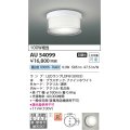 コイズミ照明　AU54099　アウトドアライト 非調光 LEDランプ 昼白色 防雨・防湿型 直付・壁付取付 ファインホワイト