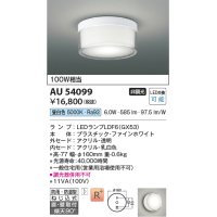 コイズミ照明　AU54099　アウトドアライト 非調光 LEDランプ 昼白色 防雨・防湿型 直付・壁付取付 ファインホワイト