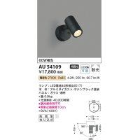 コイズミ照明　AU54109　アウトドアライト 非調光 LEDランプ 電球色 防雨型 サテンブラック [￡]
