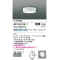 コイズミ照明 AU54138 アウトドアライト 非調光 LED一体型 昼白色 防雨・防湿型 直付・壁付取付 ファインホワイト