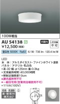 コイズミ照明 AU54138 アウトドアライト 非調光 LED一体型 昼白色 防雨・防湿型 直付・壁付取付 ファインホワイト