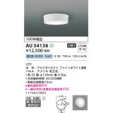 コイズミ照明 AU54138 アウトドアライト 非調光 LED一体型 昼白色 防雨・防湿型 直付・壁付取付 ファインホワイト