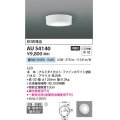コイズミ照明 AU54140 アウトドアライト 非調光 LED一体型 昼白色 防雨・防湿型 直付・壁付取付 ファインホワイト
