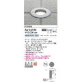 コイズミ照明　AU54196　アウトドアライト 埋込穴φ120 非調光 LEDランプ 昼白色 防雨型 埋込取付 シルバーメタリック