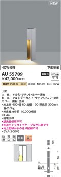 コイズミ照明 AU55789 アウトドアライト ガーデンライト 非調光 電球色 下面照射 キャブタイヤケーブル別売 防雨型 サテンシルバー