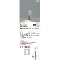 コイズミ照明 AU55789 アウトドアライト ガーデンライト 非調光 電球色 下面照射 キャブタイヤケーブル別売 防雨型 サテンシルバー