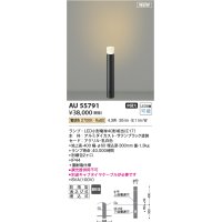 コイズミ照明 AU55791 アウトドアライト ガーデンライト 非調光 電球色 キャブタイヤケーブル別売 防雨型 サテンブラック