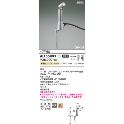 画像1: コイズミ照明 AU55803 アウトドアライト スポットライト 非調光 電球色 防雨型 サテンシルバー