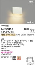 コイズミ照明 AU55816 アウトドアライト ポーチ灯 非調光 電球色 防雨型 サテンホワイト