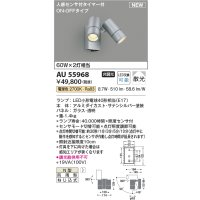 コイズミ照明 AU55968 アウトドアライト スポットライト 非調光 電球色 ON-OFFタイプ 人感センサ付 防雨型 サテンシルバー