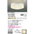 コイズミ照明 AU55986 アウトドアライト シーリング 非調光 電球色 直付・壁付取付 防雨・防湿型 ホワイト