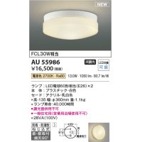 コイズミ照明 AU55986 アウトドアライト シーリング 非調光 電球色 直付・壁付取付 防雨・防湿型 ホワイト