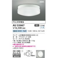 コイズミ照明 AU55987 アウトドアライト シーリング 非調光 昼白色 直付・壁付取付 防雨・防湿型 ホワイト