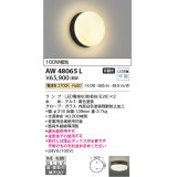 コイズミ照明　AW48065L　浴室灯 直付・壁付取付 LEDランプ交換可能型 防雨・防湿型 電球色