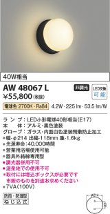 コイズミ照明　AW48067L　浴室灯 LEDランプ交換可能型 防雨・防湿型 電球色