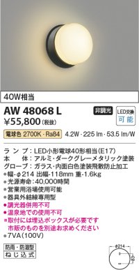 コイズミ照明　AW48068L　浴室灯 LEDランプ交換可能型 防雨・防湿型 電球色