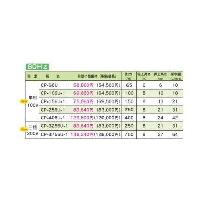 画像2: テラル　CP-106U-1　浅井戸用非自動式ポンプ(CP形) 単相100V (60Hz用)