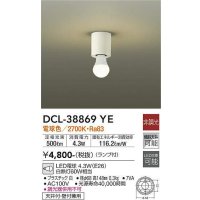 大光電機(DAIKO)　DCL-38869YE　シーリングライト 天井・壁付兼用 小型 非調光 LED電球 ランプ付 電球色 [♭]