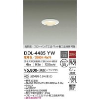 【数量限定特価】大光電機(DAIKO)　DDL-4485YW　ダウンライト ランプ付 非調光 電球色 高気密 埋込穴φ55 ホワイト