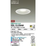 大光電機(DAIKO)　DDL-5109AW　ダウンライト LED内蔵 温白色 非調光丸タイプ SB形 防滴形 白熱灯100W相当 φ150