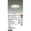 大光電機(DAIKO)　DDL-5109WW　ダウンライト LED内蔵 非調光 昼白色 COBタイプ 高気密SB形 リニューアル用 防雨形 埋込穴φ150 ホワイト