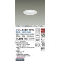 大光電機(DAIKO)　DDL-5340WW　ダウンライト LED内蔵 非調光 昼白色 温度保護機能付 防雨形 リニューアル用