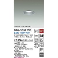 大光電機(DAIKO) DDL-5599 WS ダウンライト 埋込穴φ75 非調光 LED 昼白色 COBタイプ 高気密SB形 防雨形 準耐火 シルバー