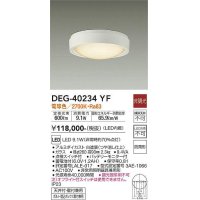 大光電機(DAIKO)　DEG-40234YF　防災照明 非常灯 非調光 電球色 防雨形 白