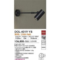 大光電機(DAIKO)　DOL-4019YB　アウトドアライト スポットライト LED内蔵 非調光 電球色 防雨形 ブラック