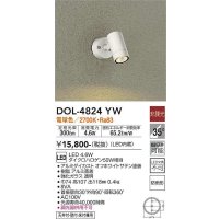 大光電機(DAIKO)　DOL-4824YW　アウトドアライト スポットライト 非調光 LED内蔵 電球色 防雨形 ホワイト