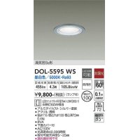 大光電機(DAIKO) DOL-5595 WS アウトドアライト 軒下ダウンライト 埋込穴φ100 非調光 LED 昼白色 ランプ付 高気密SB形 防雨形 シルバー