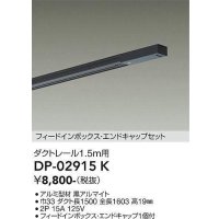 大光電機(DAIKO) DP-02915 K 部材 ダクトレール フィードインボックス・エンドキャップセット 1.5m用 ブラック
