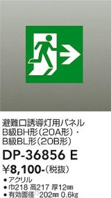 大光電機(DAIKO) DP-36856E 防災照明 誘導灯 避難口誘導灯用パネル 本体別売