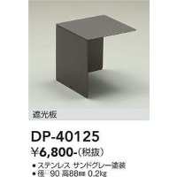 大光電機(DAIKO)　DP-40125　部材 アウトドアライト用 遮光板